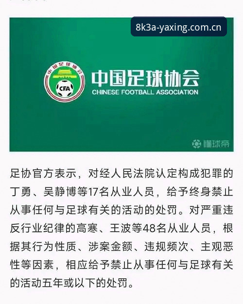 亚星体育8K3A画质体验评测 中国足球禁足风暴 vs 行业净化行动:65人处罚名单全面解读与深度分析