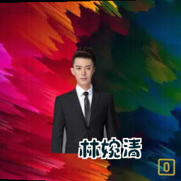 林婉清